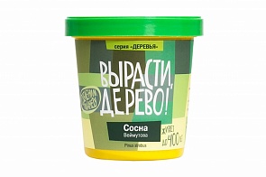 Набор для выращивания растений - Сосна Веймутова (Зеленый Капитал, zk-008)